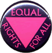 Button: Equal Rights for All