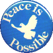 Magnet: Peace Is Possible